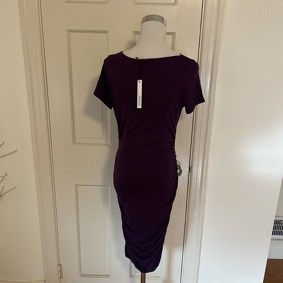 NWT Patty Boutik Purple Draped Cowl Neck Short Sleeve Dress Rusched Sides Size s - Picture 3 of 10